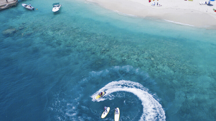 Malahini Kuda Bandos